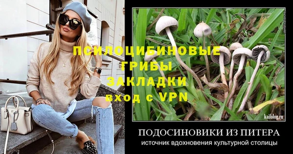 гидра Мегион