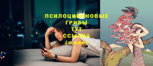 дурь Медногорск